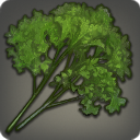 Highland Parsley